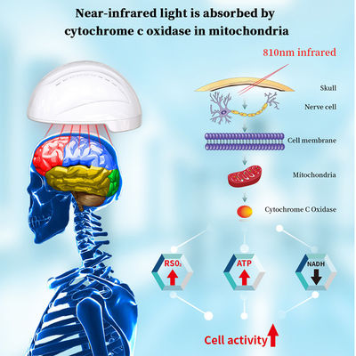 GY PDT1 15W PBM Physiotherapy Helmet Near Infrared Helmet For Alzheimer