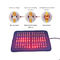 Multi Colors PDT Light Therapy Device Therapeutic Infrared Pad